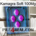 Kamagra Soft 100Mg 04